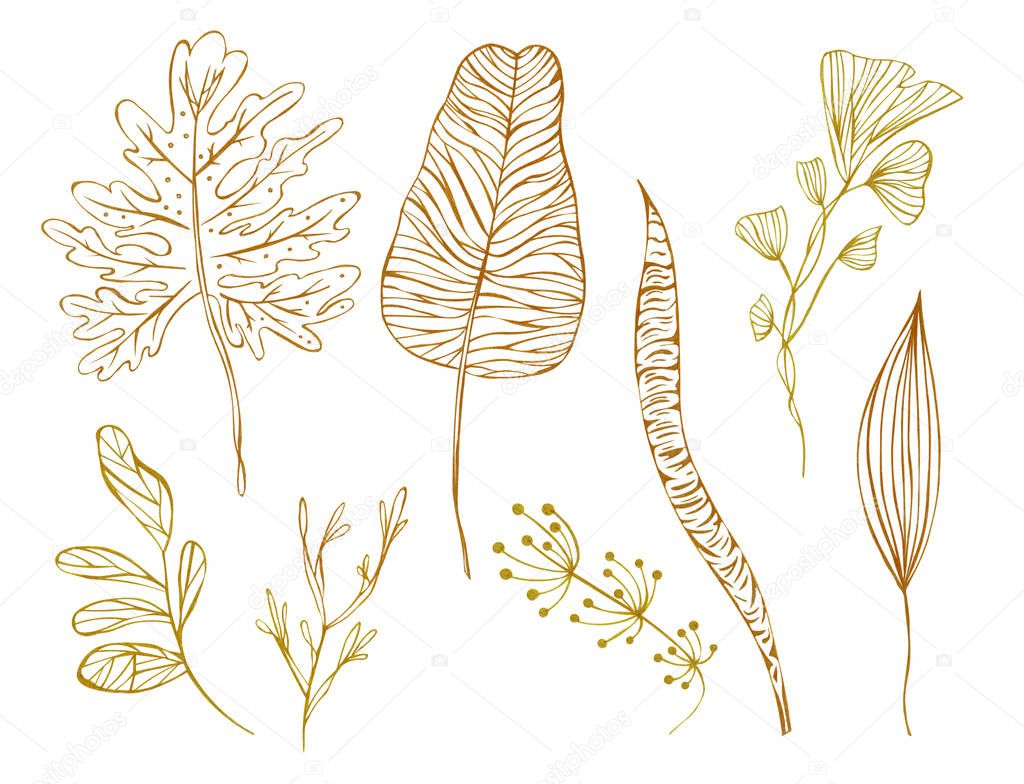 Illustration drawing sketch orange outline leaves of exotic plants on a white isolated layer as a set