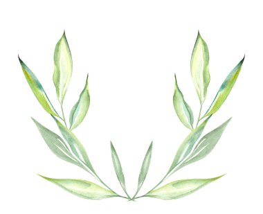 Çiçek li yarım daire şeklinde beyaz izole arka plan üzerinde bitkilerin yeşil yaprakların bir suluboya çizim Illüstrasyon