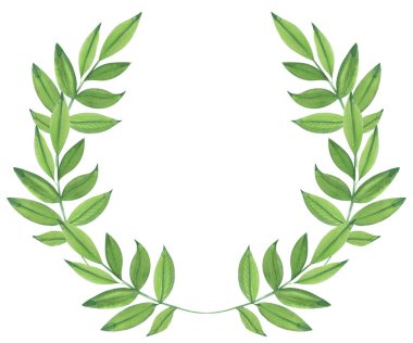 Çiçek li yarım daire şeklinde beyaz izole arka plan üzerinde bitkilerin yeşil yaprakların bir suluboya çizim Illüstrasyon