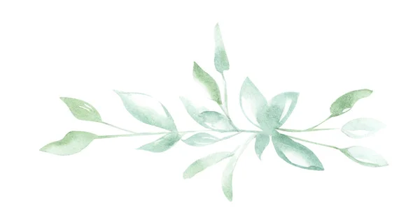 Illustration Watercolor Drawing Green Sprigs Plants White Isolated Background Form — Stock Photo, Image