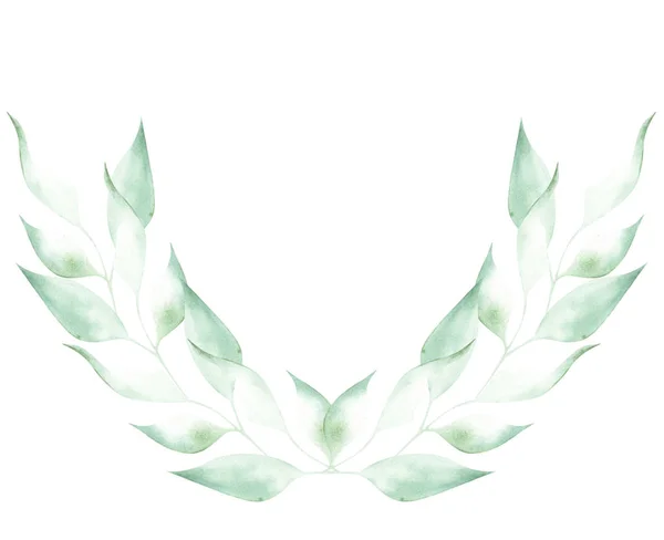 Иллюстрация Акварельного Рисунка Зеленых Листьев Растений Белом Изолированном Фоне Виде — стоковое фото