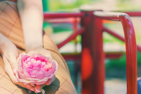 Вид Крупным Планом Женщины Держащей Руках Красивый Розовый Цветок Копировальное — стоковое фото