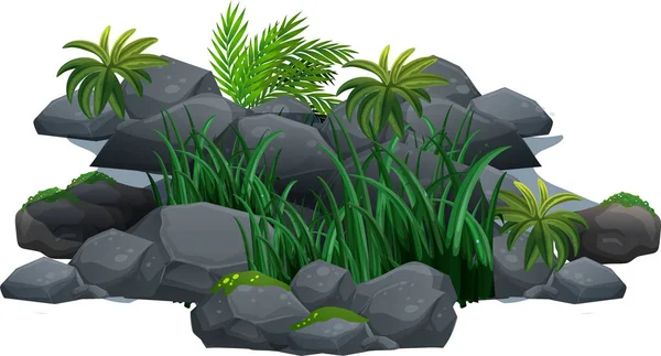 Hierba Verde Creciendo Entre Piedras Grises Vector Fondo Blanco — Archivo Imágenes Vectoriales