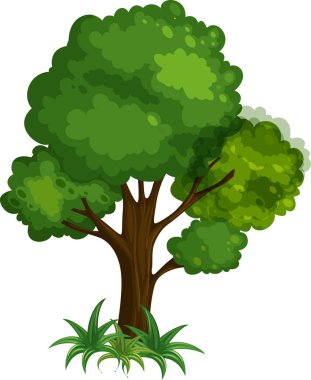 ağaç beyaz zemin üzerine yeşil yeşillik ile