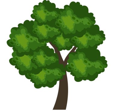 ağaç beyaz zemin üzerine yeşil yeşillik ile