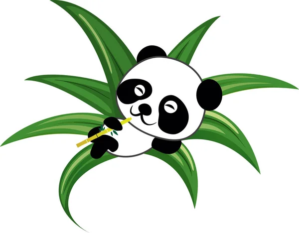 Panda Yeşil Çimenlerin Üzerinde Yatıyor Bambu Beyaz Arka Plan Üzerinde — Stok Vektör