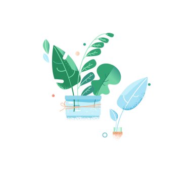 Kentsel bahçe. egzotik bitkilerin yeşil yaprakları. Cam şişelerde çiçek. Düz stil