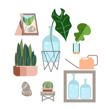 Vektör yeşil zemin üzerinde ayarlayın. Tropikal orman arka plan bırakır. İzole sembolü