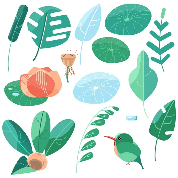 Σύνολο εικόνων στυλ του καλοκαιριού. Πράσινα φύλλα τέρατα και άλλα τροπικά φυτά — Διανυσματικό Αρχείο