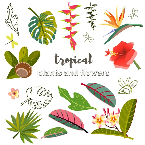 Ορίστε διανυσματικές εικόνες από φύλλα, λουλούδια και φρούτα. στυποίηση τροπικών φυτών — Διανυσματικό Αρχείο