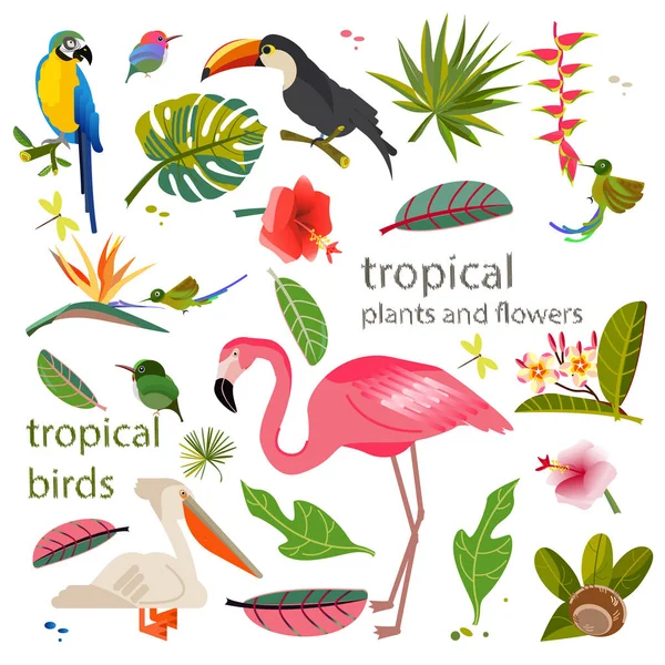 Tropische Blumen und Blätter. Exotische Vögel. Karibische Farben. Design und Muster — Stockvektor