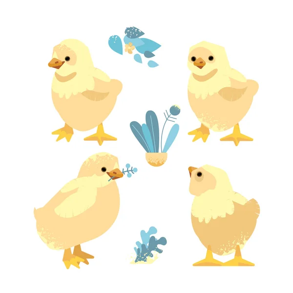 Pajarito de pollo. Iconos de ilustración vectorial de dibujos animados aislados. Lindos pollos — Archivo Imágenes Vectoriales