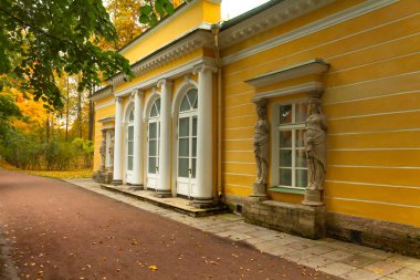 Ormanda sonbahar. Parkta yürü. Saint-Petersburg.