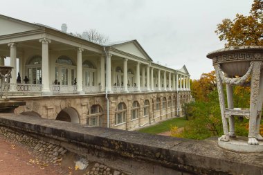 Ormanda sonbahar. Parkta yürü. Saint-Petersburg.