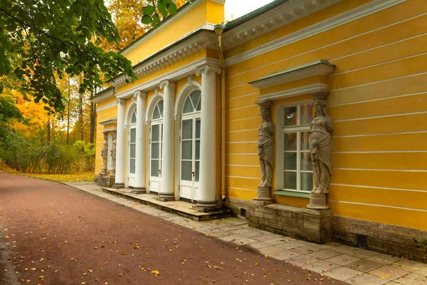 Ormanda sonbahar. Parkta yürü. Saint-Petersburg.