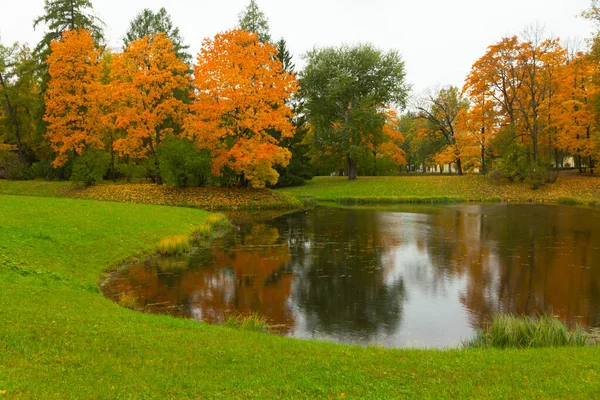 Otoño en el bosque. Camina por el parque. San Petersburgo . —  Fotos de Stock