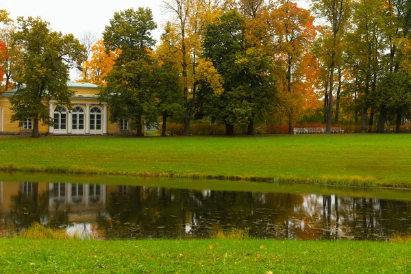 Herbst im Wald. Spaziergang im Park. Sankt-Peterburg. — Stockfoto