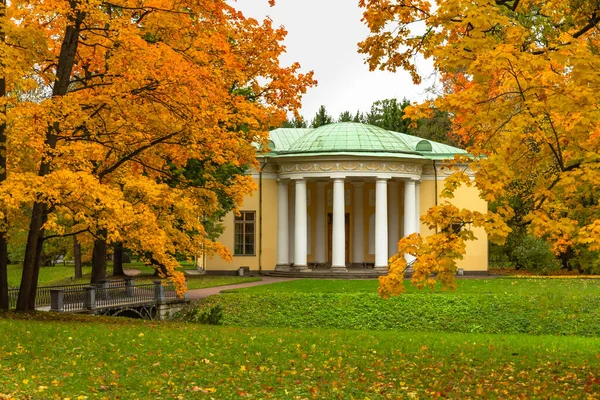 Autumn in the forest. Walk in the Park. Saint-Petersburg. — Stock Photo, Image