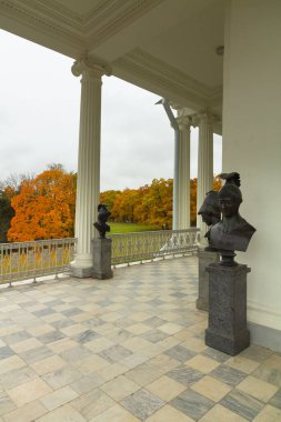 Ormanda sonbahar. Parkta yürü. Saint-Petersburg 'da. Galeri.
