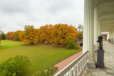 Ormanda sonbahar. Parkta yürü. Saint-Petersburg 'da. Galeri.
