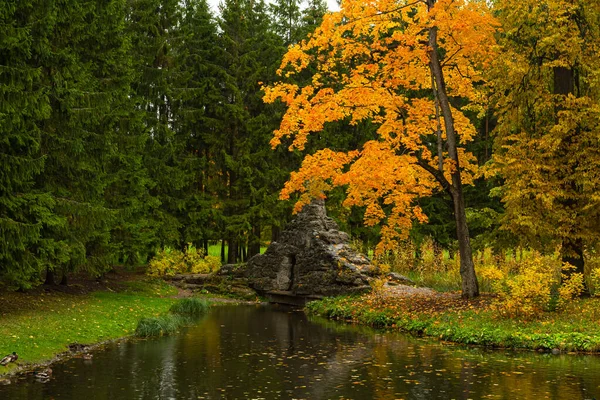 Otoño en el bosque. Camina por el parque. San Petersburgo . —  Fotos de Stock