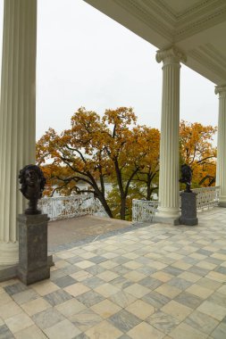 Ormanda sonbahar. Parkta yürü. Saint-Petersburg 'da. Galeri.