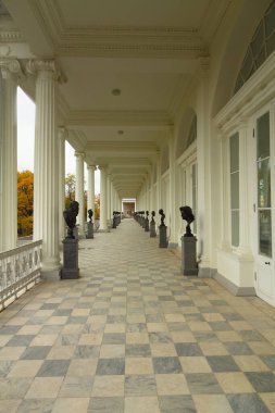 Ormanda sonbahar. Parkta yürü. Saint-Petersburg 'da. Galeri.