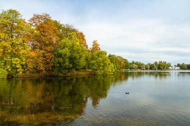 Puşkin 'deki Autumn Park' ta. Büyük gölet. Saint-Petersburg 'da. Günaydın..