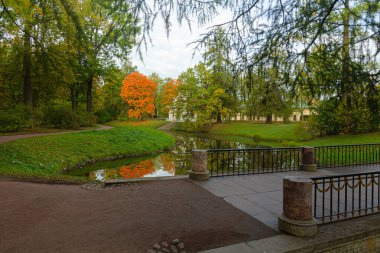 Puşkin 'deki Autumn Park' ta. Saint-Petersburg 'da. Günaydın..