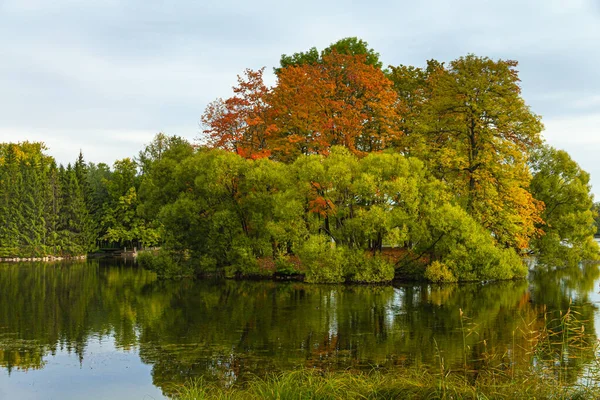 Autumn Park en Pushkin. Estanque grande. San Petersburgo. Buenos días. . —  Fotos de Stock