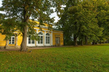 Puşkin 'deki Autumn Park' ta. Saint-Petersburg 'da. Günaydın..