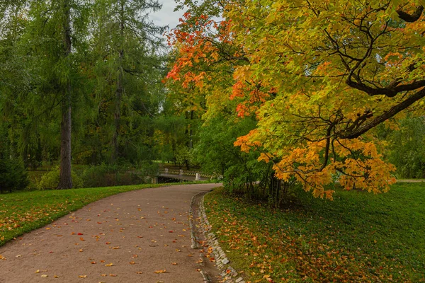 プーシキンの秋の公園。サンクトペテルブルク。朝. — ストック写真