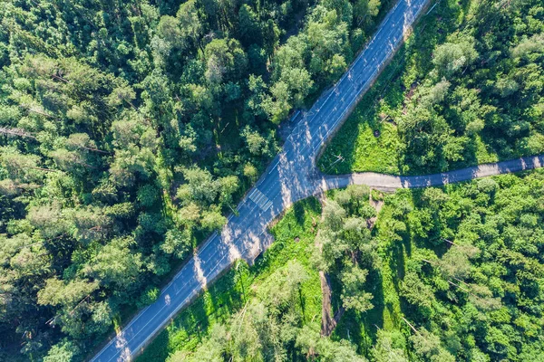 Green forest aerial drone view. Road in forest from above.
