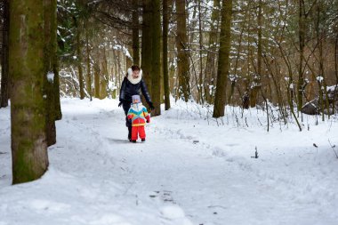 Aile yürümek içinde belgili tanımlık kış orman baba anne ve çocuk