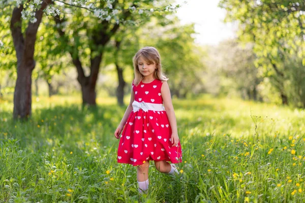 Linda Menina Caminha Jardim Entre Árvores Primavera — Fotografia de Stock