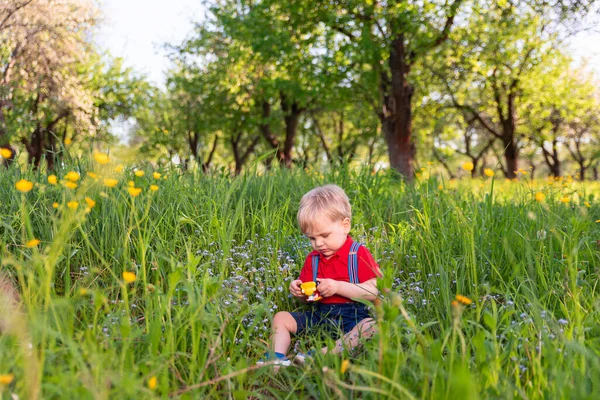 Kleiner Junge Spielt Auf Grasfarbenem Spielzeug — Stockfoto