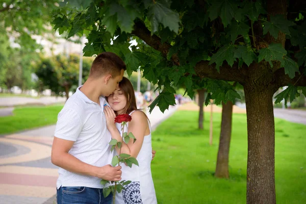 Joven Hombre Mujer Abrazándose Una Fecha Pie Bajo Árbol —  Fotos de Stock