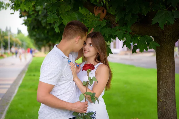 Joven Hombre Mujer Abrazándose Una Fecha Pie Bajo Árbol —  Fotos de Stock