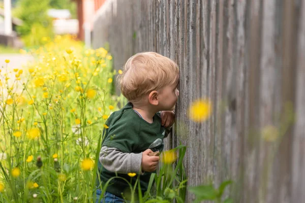 Schönes Kind Spaziert Gras Auf Dem Land — Stockfoto