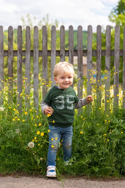 Kleines Schönes Kind Spaziert Gras Auf Dem Land — Stockfoto