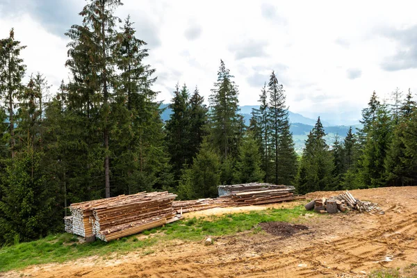 Existencias Materias Primas Madera Secan Una Colina Bosque — Foto de Stock