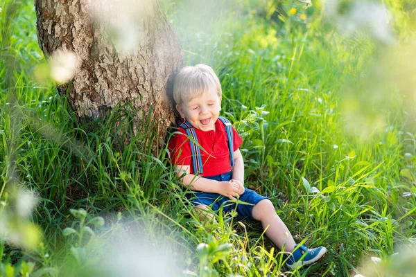 Kleiner Junge Sitzt Unter Einem Baum Und Ruht Sich Aus — Stockfoto