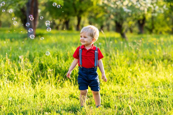 Child Boy Has Fun Playing Nature Shiny Soap Bubbles Stock Photo
