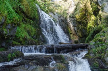 Teletsky Gölü üzerindeki manzara şelalesi