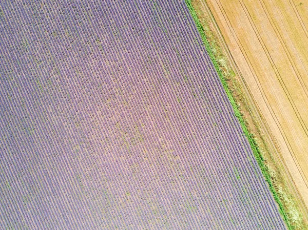 Luchtfoto Van Landbouwgebieden — Stockfoto
