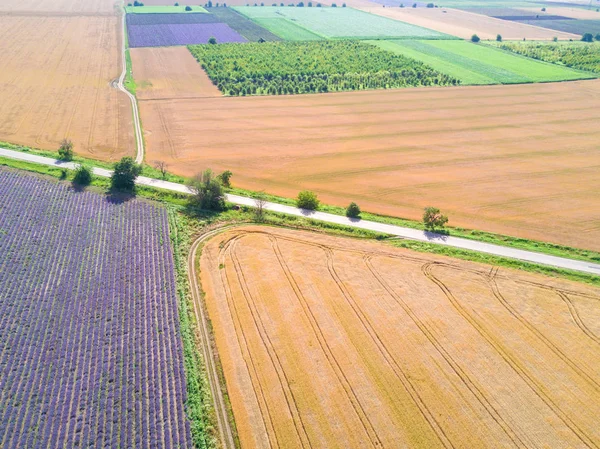 Luchtfoto Van Landbouwgebieden — Stockfoto