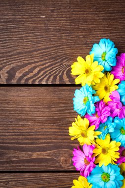 Eski bir ahşap arka plan üzerinde renkli çiçekler. Yakın çekim