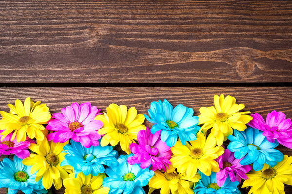 Colorful flowers on an old wooden background. Close up