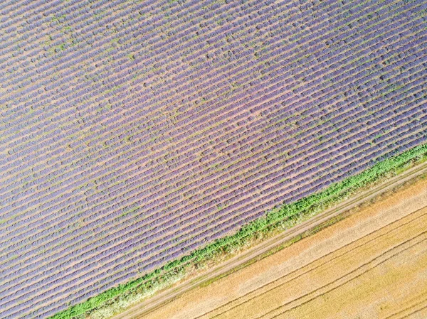 Luchtfoto Van Landbouwgebieden — Stockfoto