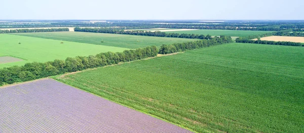 Luchtfoto Van Landbouwgebieden — Stockfoto